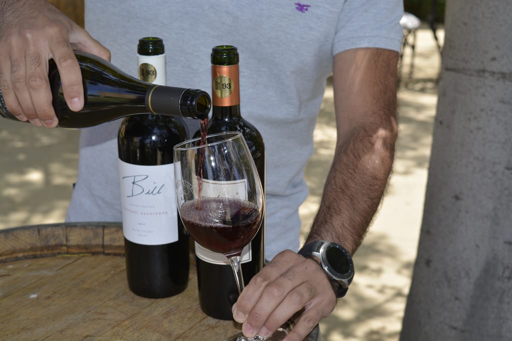 Viñas Valle Aconcagua Viñas Valle Aconcagua