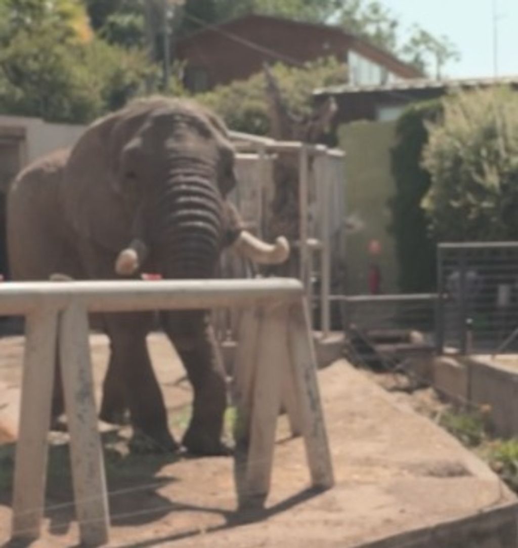 WhatsApp Image 2024-12-13 at 14 WhatsApp Image 2024-12-13 at 14