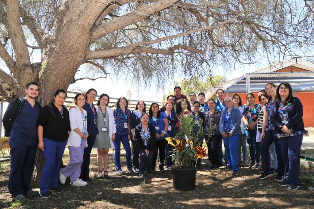 Hospital Carlos van Buren Hospital Carlos van Buren
