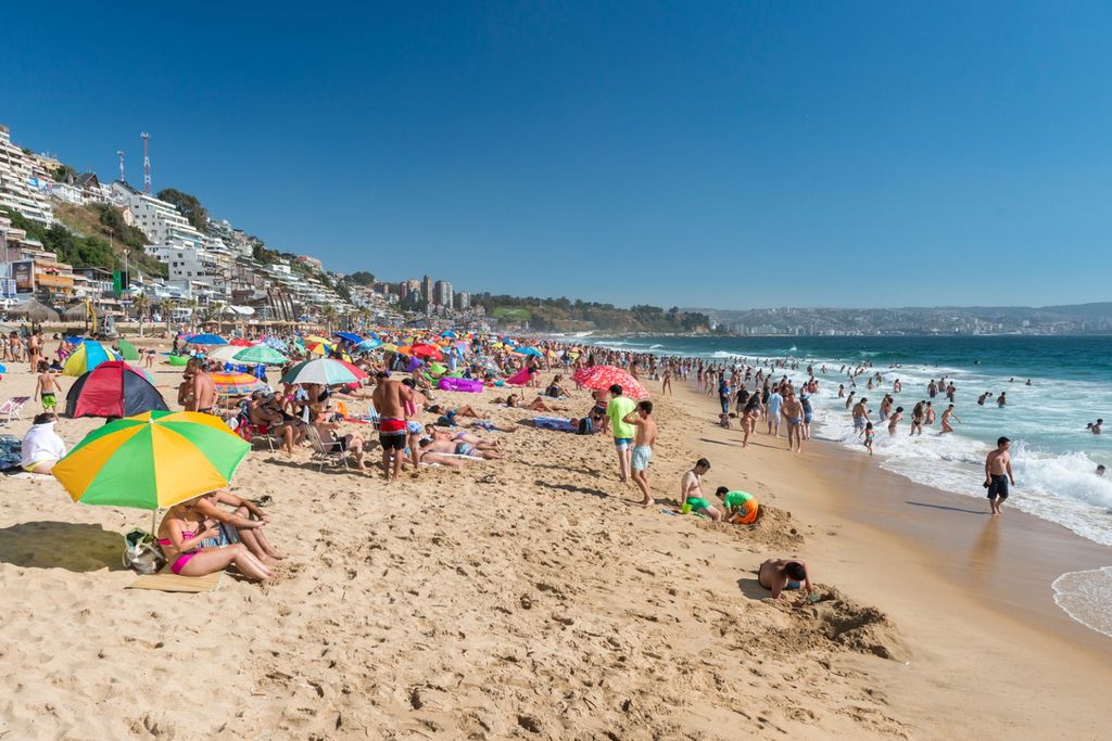 WhatsApp Image 2025-02-28 at 15 WhatsApp Image 2025-02-28 at 15