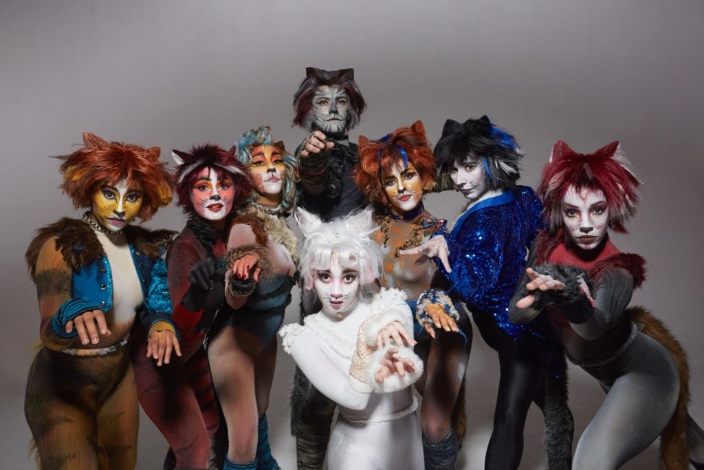cats+ cats+