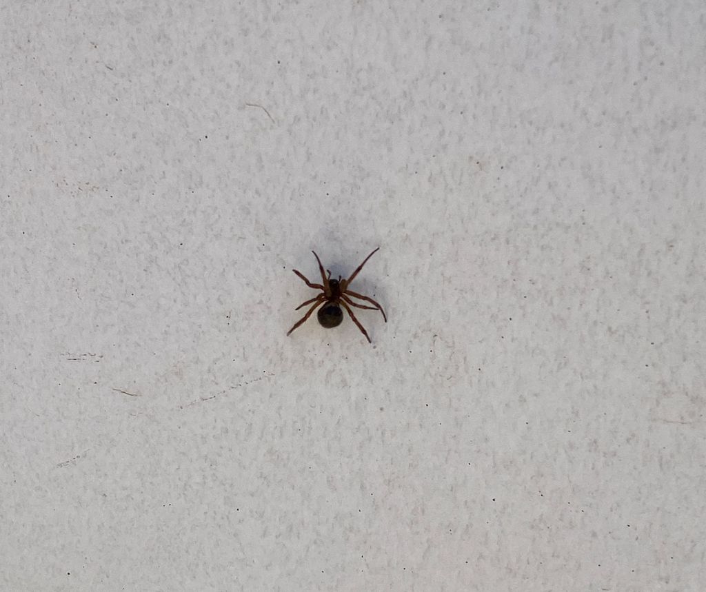 WhatsApp Image 2025-01-09 at 13 WhatsApp Image 2025-01-09 at 13