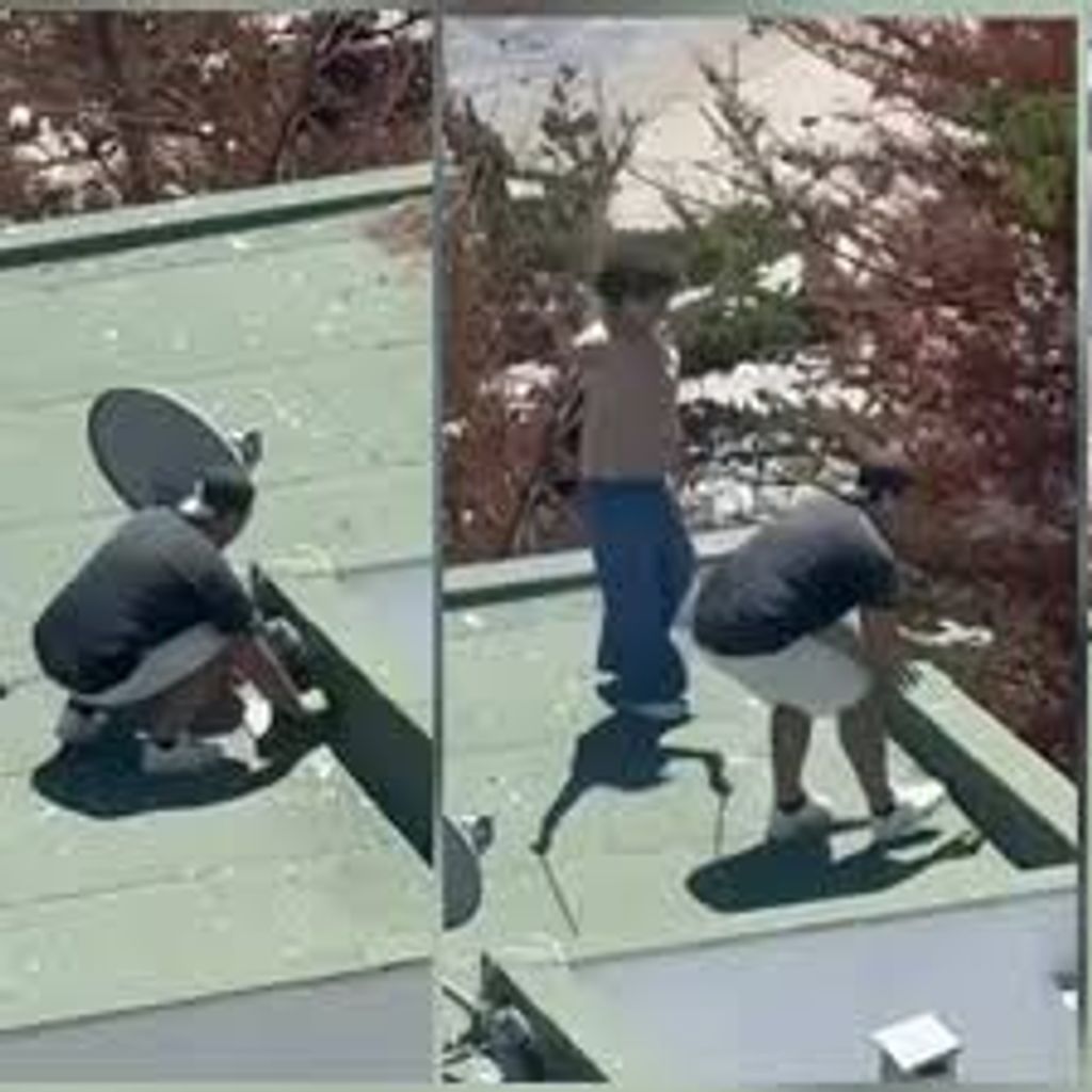 descarga (11) descarga (11)