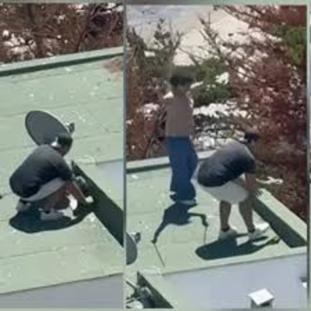 descarga (11) descarga (11)