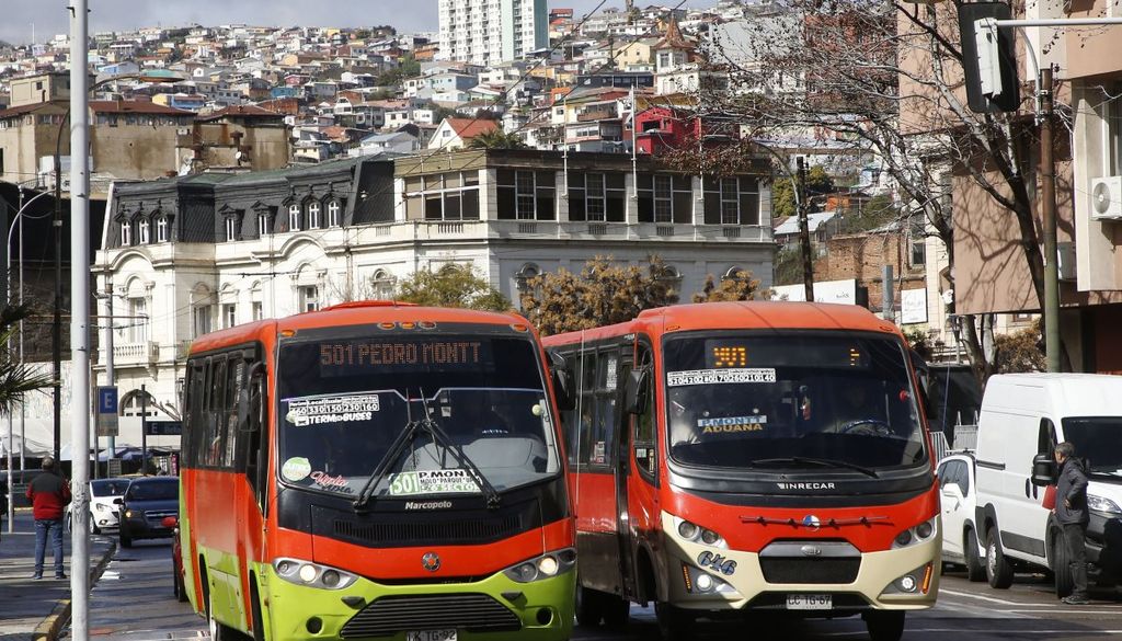 buses buses
