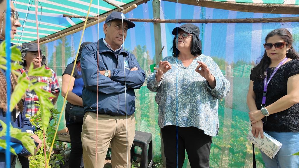 WhatsApp Image 2025-03-14 at 09 WhatsApp Image 2025-03-14 at 09