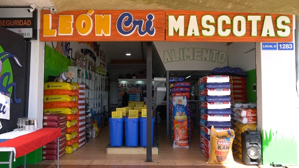 WhatsApp Image 2023-09-16 at 17 WhatsApp Image 2023-09-16 at 17