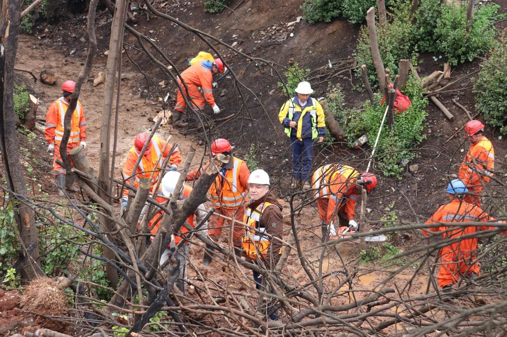 WhatsApp Image 2024-06-12 at 08 WhatsApp Image 2024-06-12 at 08