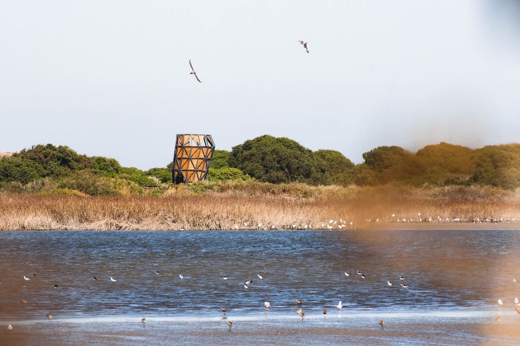 WhatsApp Image 2025-11-21 at 12