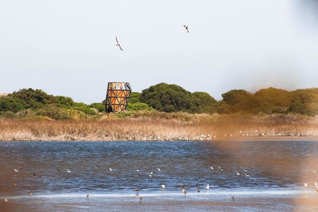 WhatsApp Image 2025-11-21 at 12