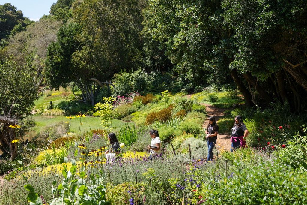 Parque Tricao prepara entretenidas actividades para despedir las vacaciones de verano Parque Tricao prepara entretenidas actividades para despedir las vacaciones de verano