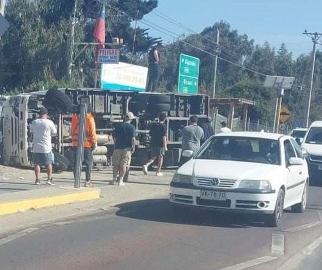 WhatsApp Image 2025-02-04 at 16 WhatsApp Image 2025-02-04 at 16