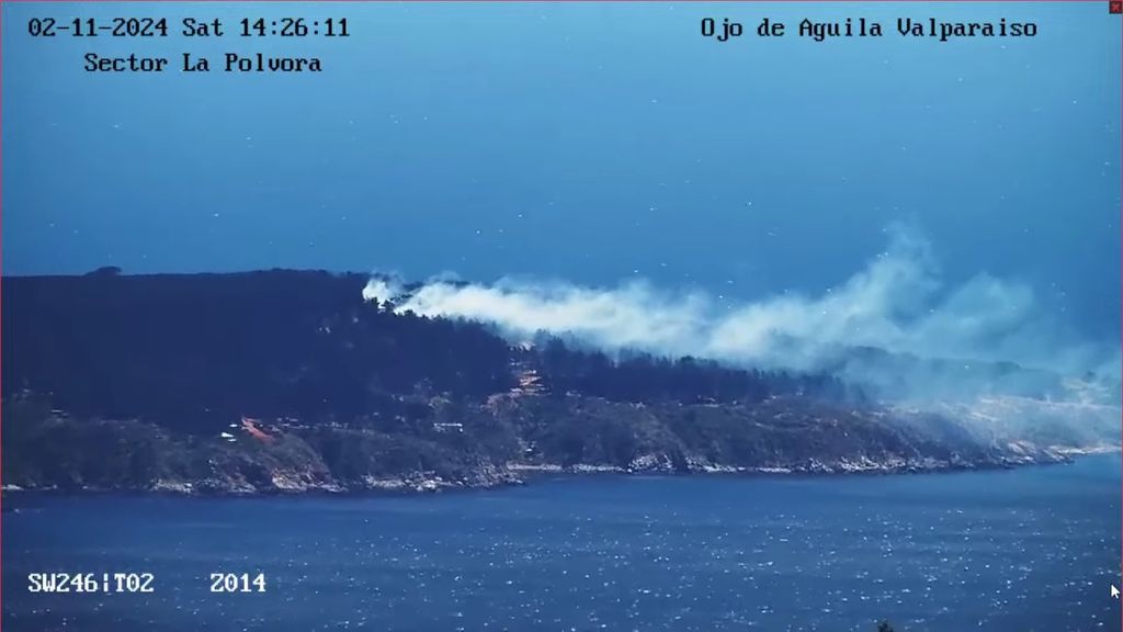 WhatsApp Image 2024-11-02 at 15 WhatsApp Image 2024-11-02 at 15