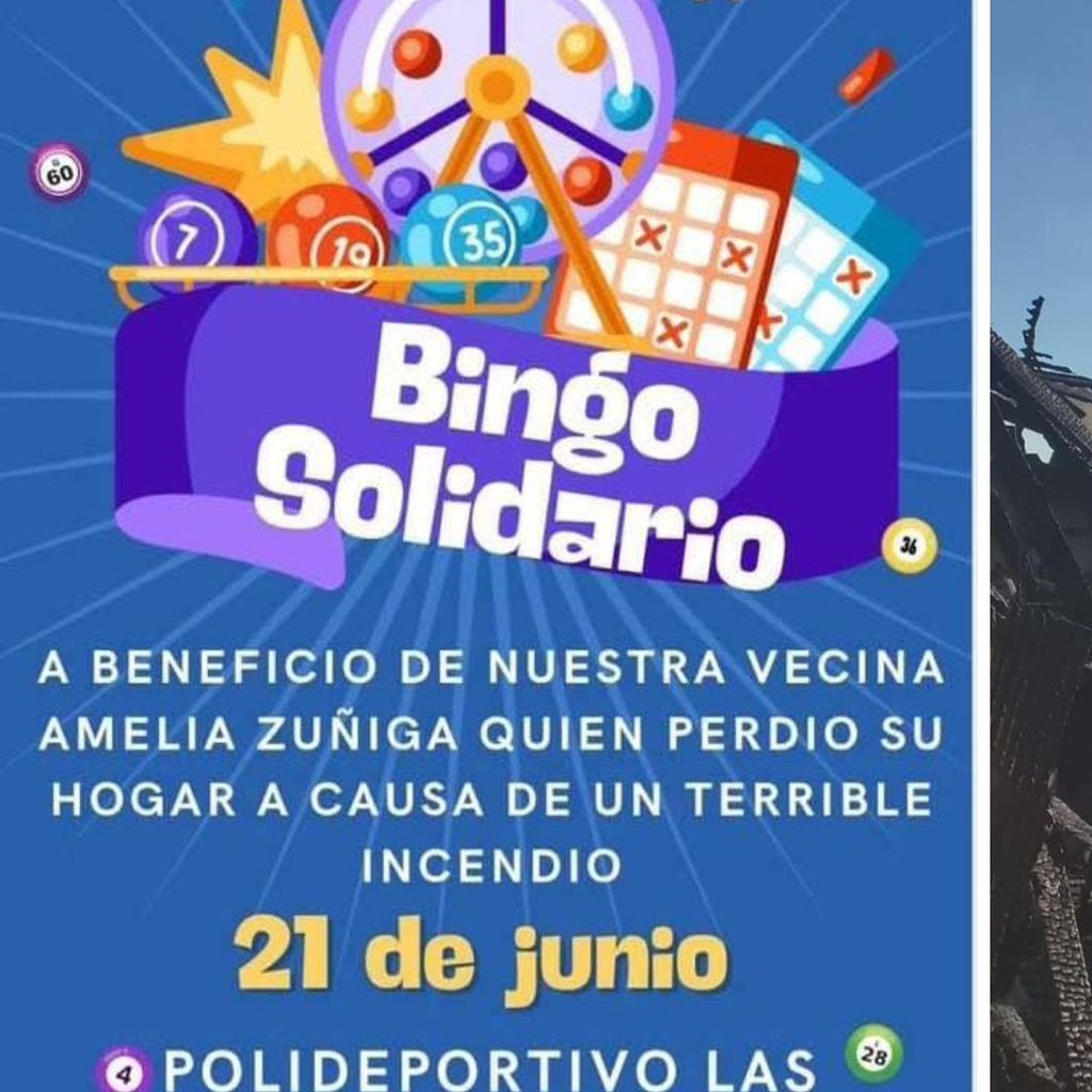 WhatsApp Image 2025-06-02 at 12 WhatsApp Image 2025-06-02 at 12