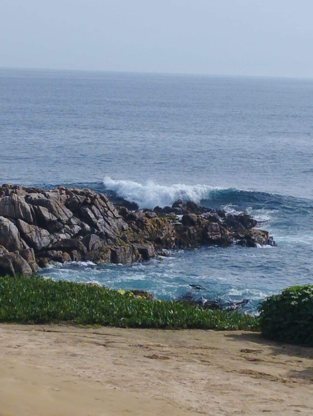 Marejadas