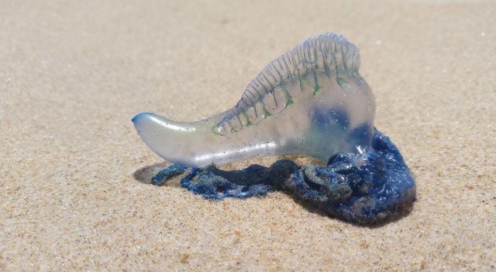 WhatsApp Image 2025-01-23 at 09 WhatsApp Image 2025-01-23 at 09