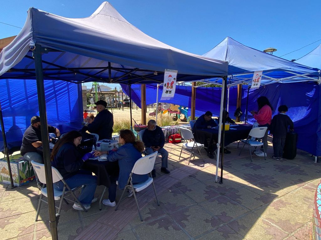 WhatsApp Image 2024-12-12 at 12 WhatsApp Image 2024-12-12 at 12