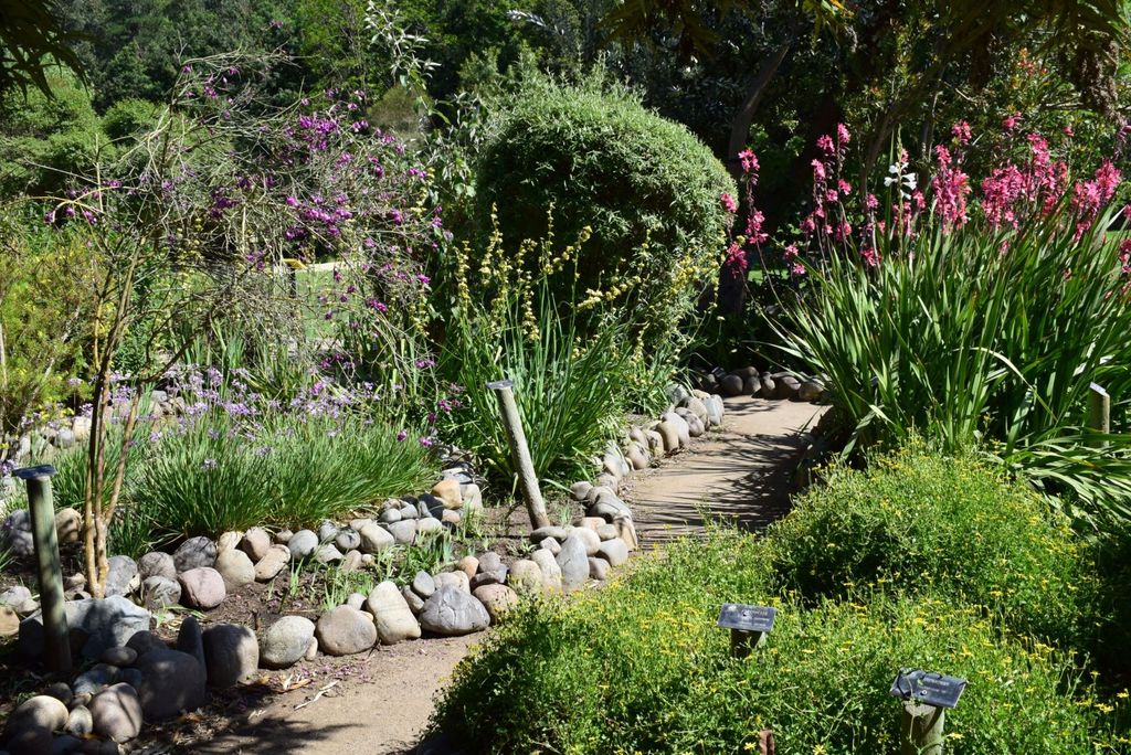 Jornadas de Naturalismo Botánico Jornadas de Naturalismo Botánico