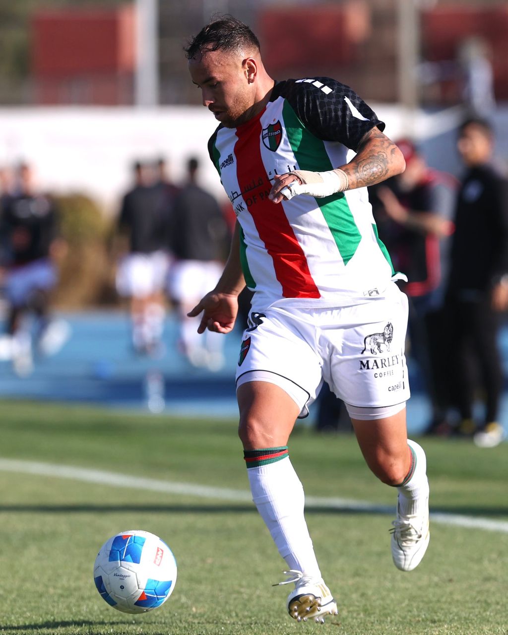 Palestino Palestino