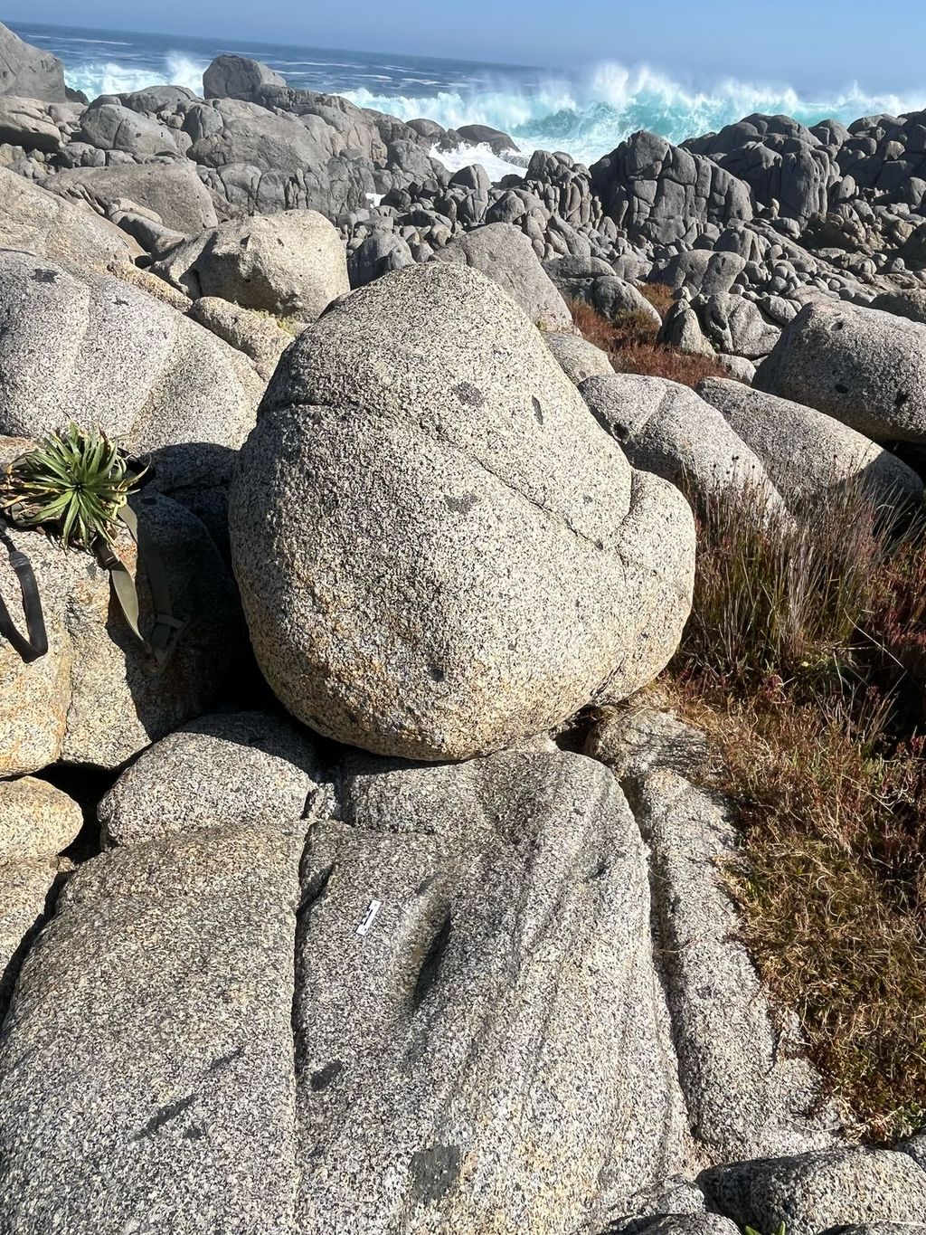 WhatsApp Image 2025-05-02 at 14 WhatsApp Image 2025-05-02 at 14