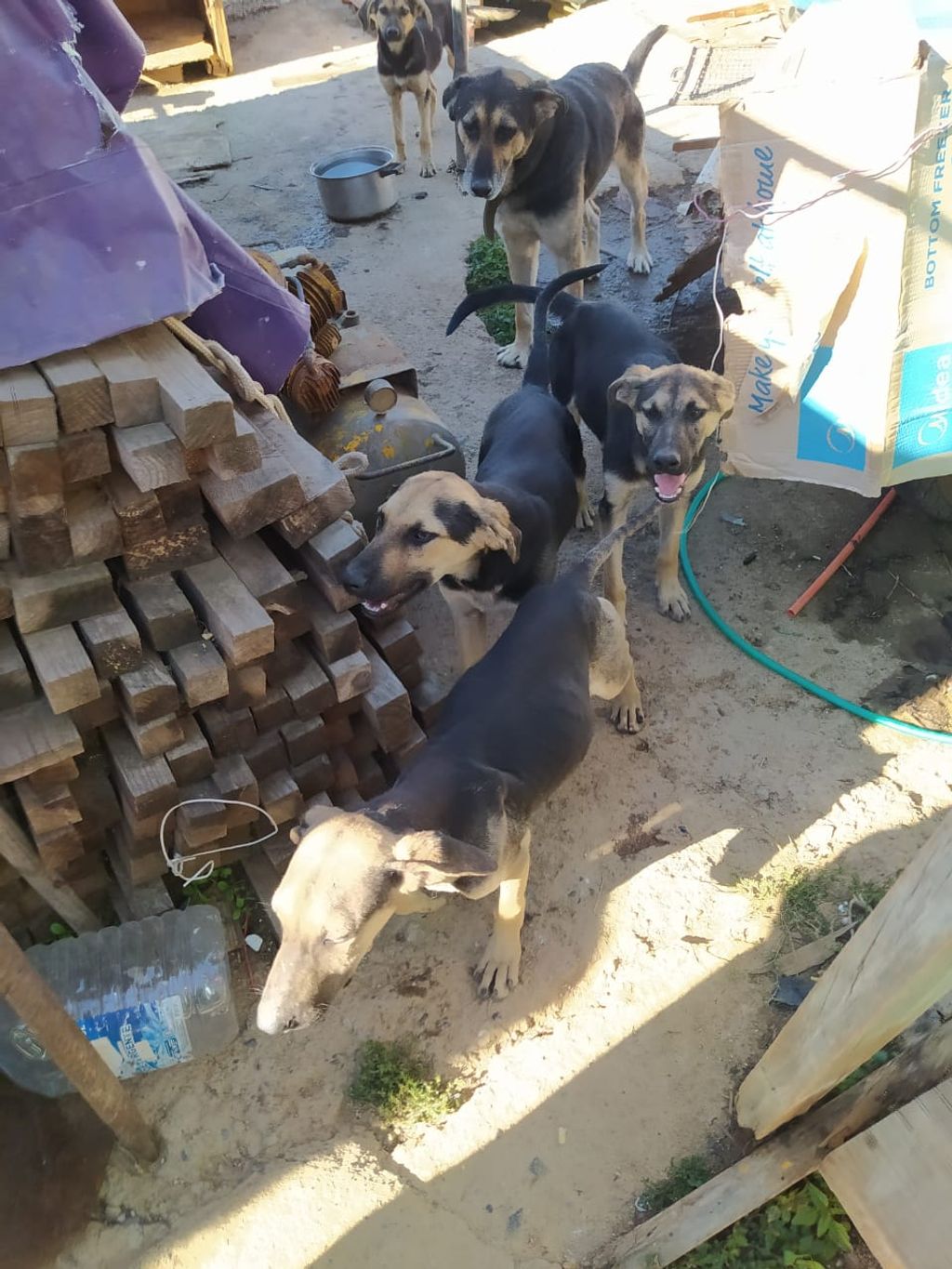 WhatsApp Image 2025-01-21 at 18 WhatsApp Image 2025-01-21 at 18