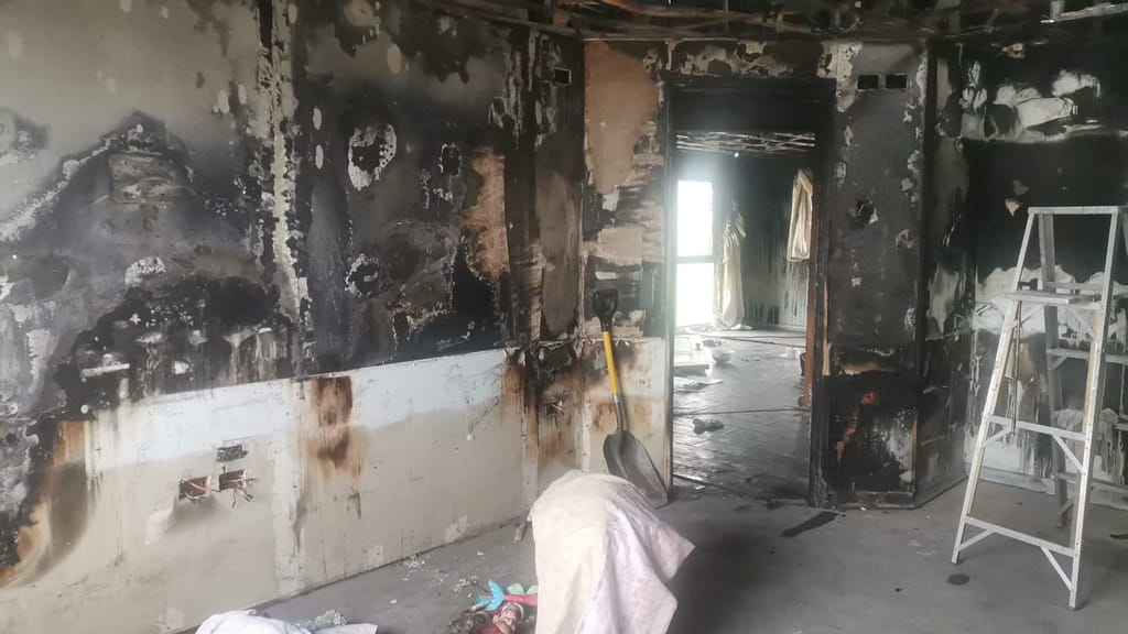 bingo para familia bingo para familia