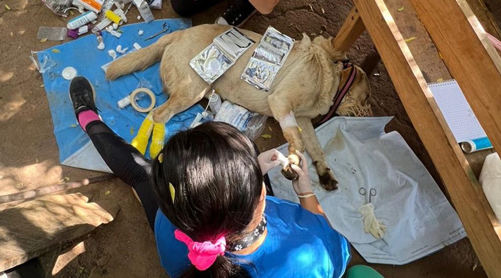 Tno6GBGJEDvap13ibVme Tno6GBGJEDvap13ibVme