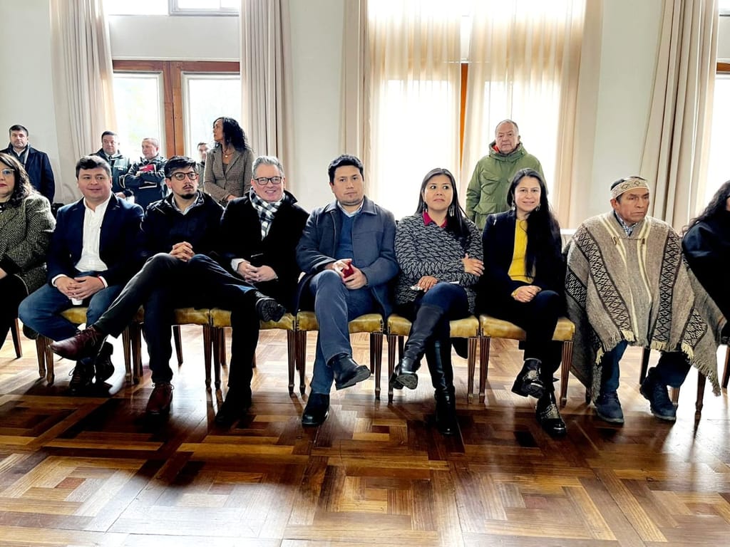 CHILE INDIGENA CHILE INDIGENA