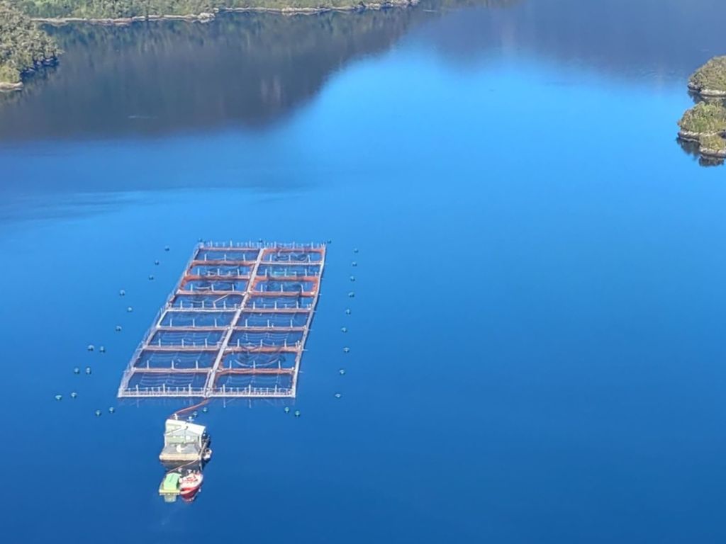 JAULAS SALMONERAS JAULAS SALMONERAS