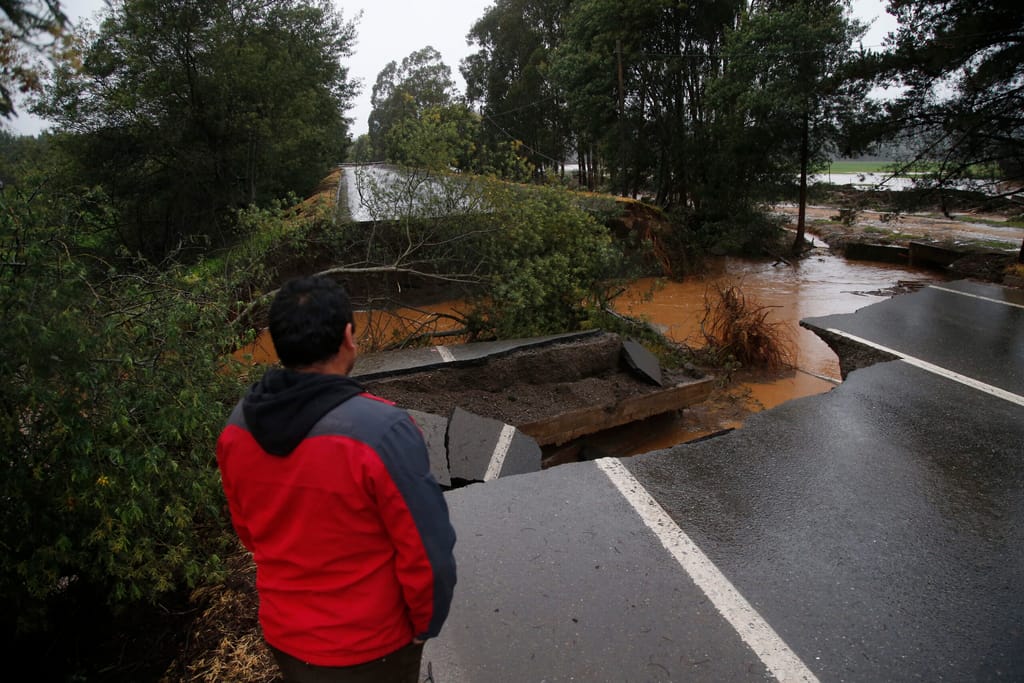 FOTO-MAULE FOTO-MAULE