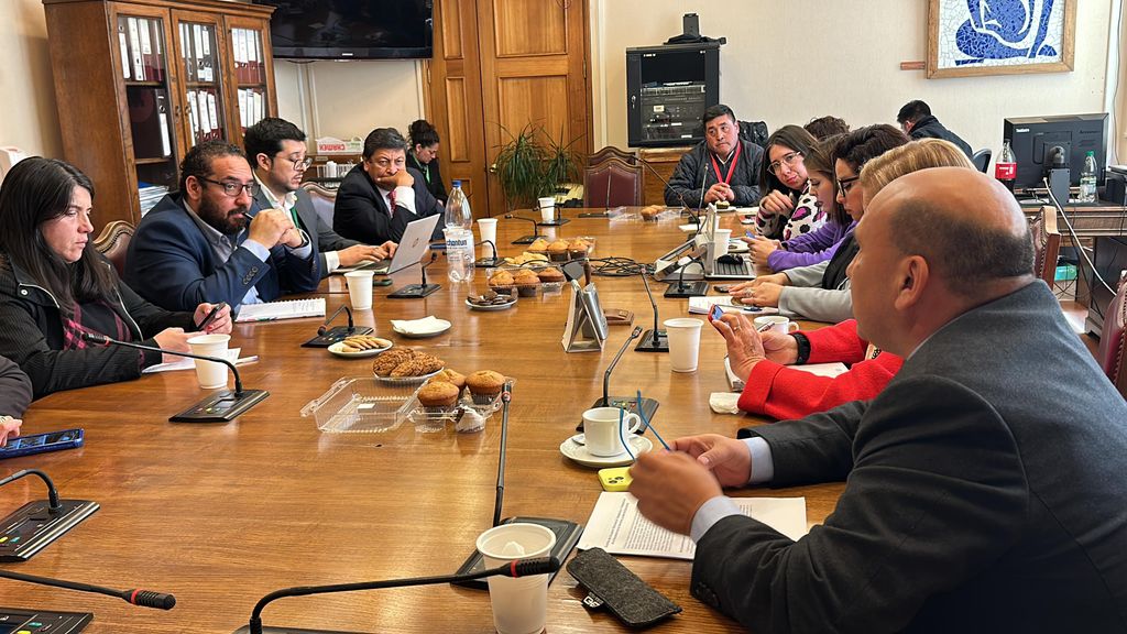 diputado Borquez diputado Borquez