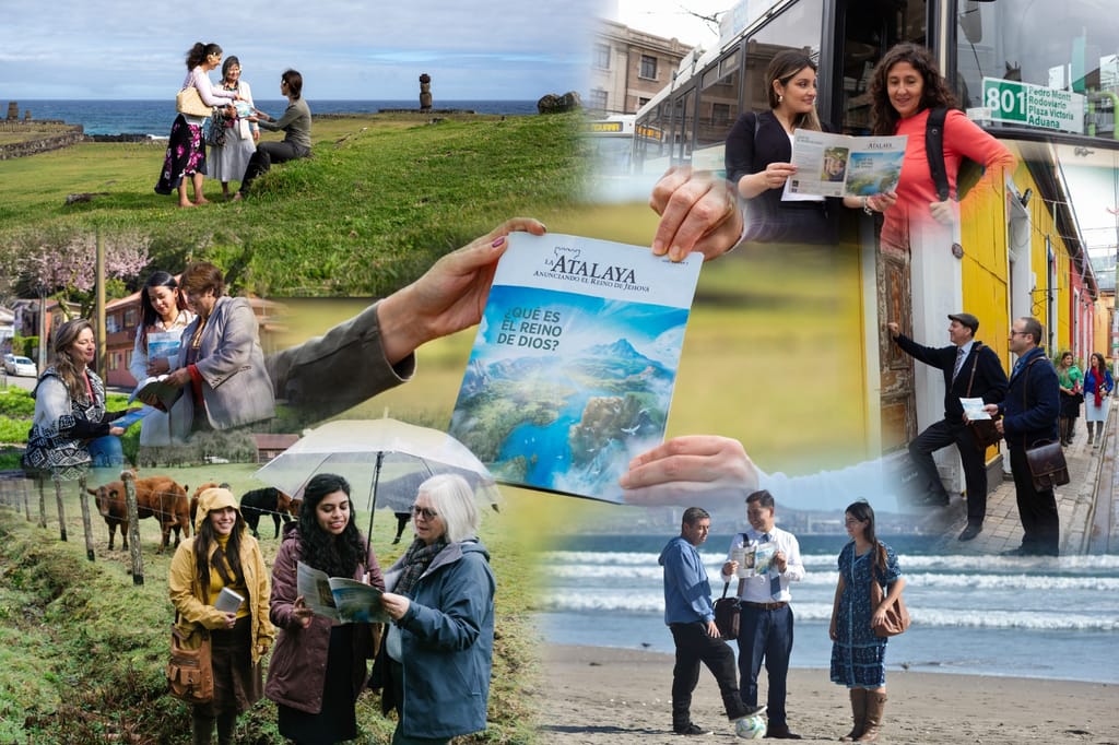 IMG-20230916-WA0131 IMG-20230916-WA0131