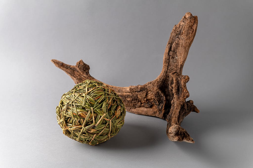 Jepatalxar (pelota de juego) Jepatalxar (pelota de juego)