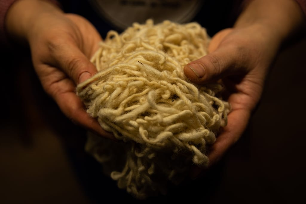 EXPO LANAS EXPO LANAS