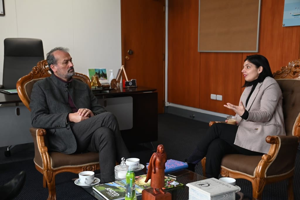 GOBERDAOR VALLESPIN GOBERDAOR VALLESPIN