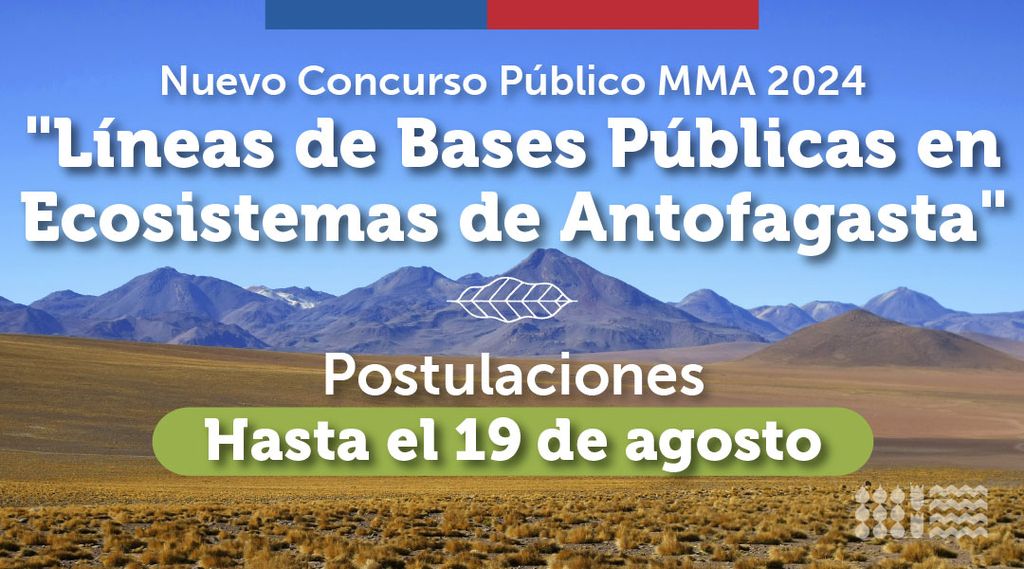 banner-Antofagasta banner-Antofagasta