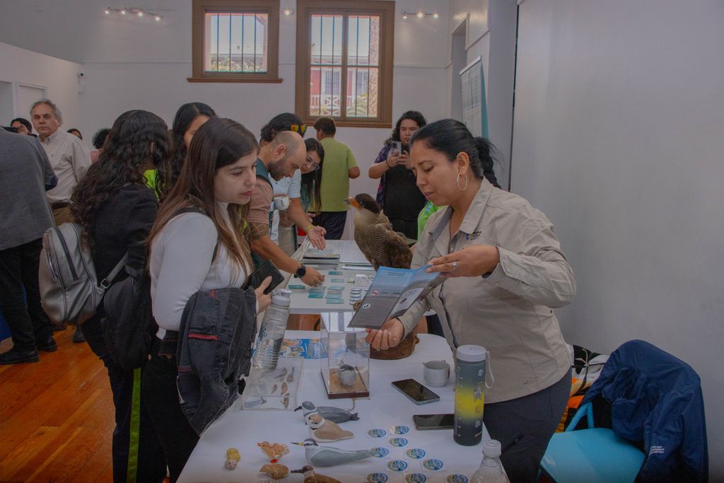 IMG_8603 (1) IMG_8603 (1)