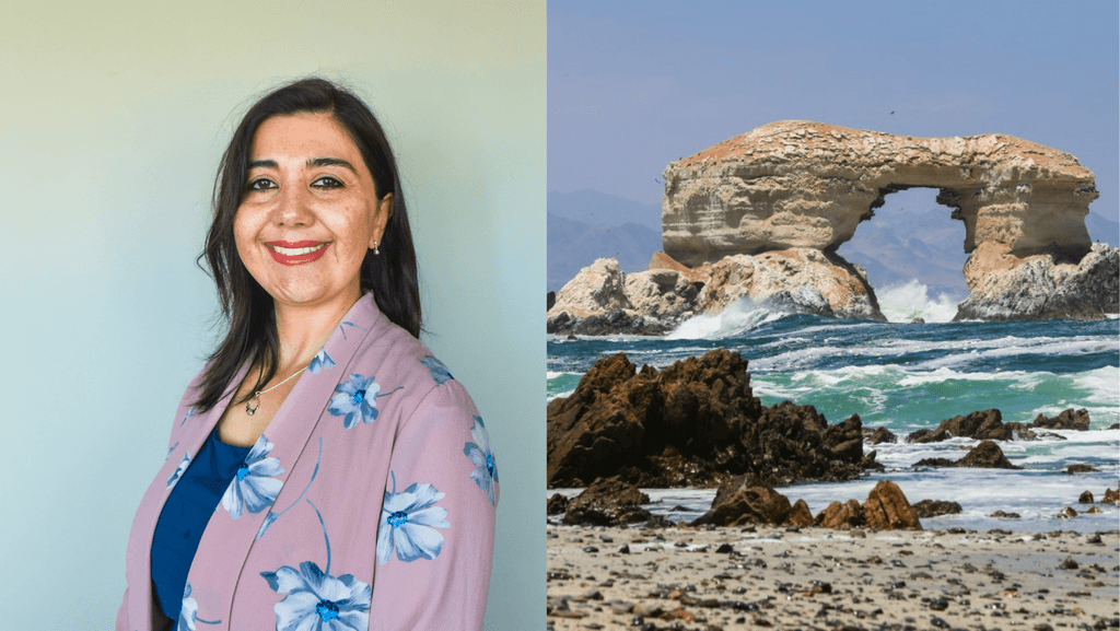 AIA - OPINIÓN AIA - OPINIÓN