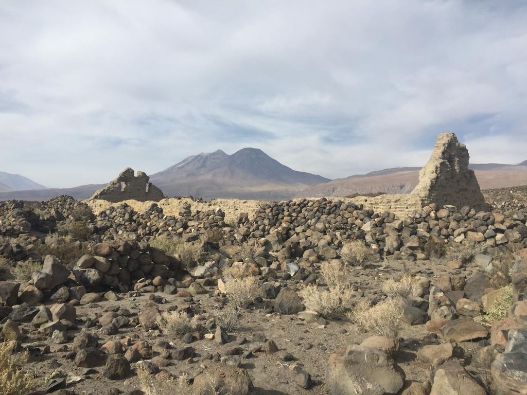 Socaire y Cupo-Catarpe. Socaire y Cupo-Catarpe.