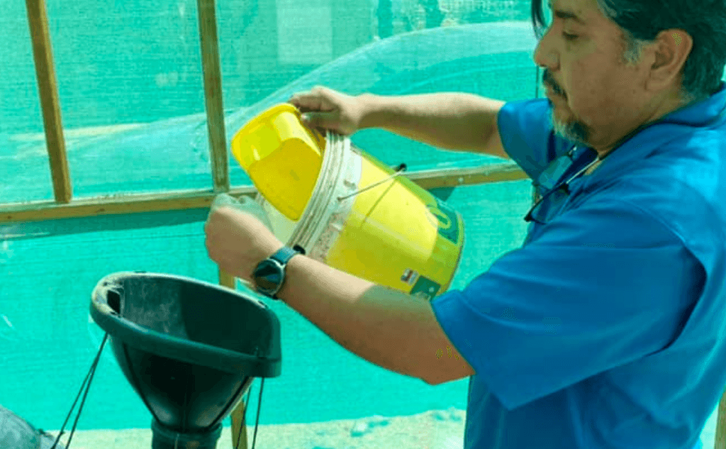 imagen_2024-04-10_101533329 imagen_2024-04-10_101533329