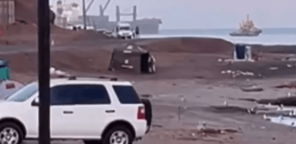 caleta coloso caleta coloso