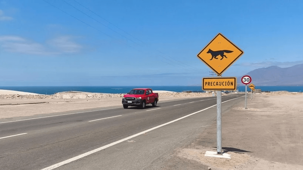 imagen_2024-12-16_093919187 imagen_2024-12-16_093919187