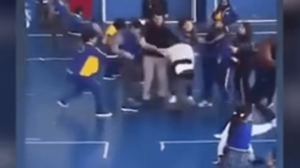 pelea colegio pelea colegio