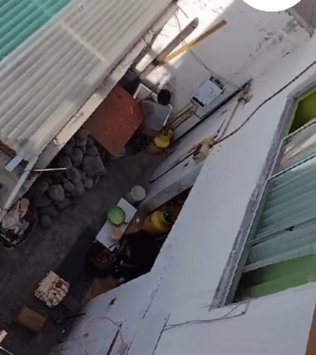 SUPUESTO FAENAMIENTO DE PERROS SUPUESTO FAENAMIENTO DE PERROS