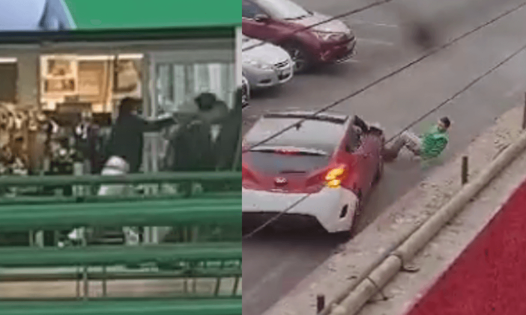 imagen_2023-09-12_111136625 imagen_2023-09-12_111136625