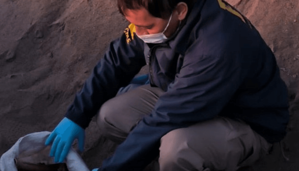 imagen_2024-07-15_082335435 imagen_2024-07-15_082335435