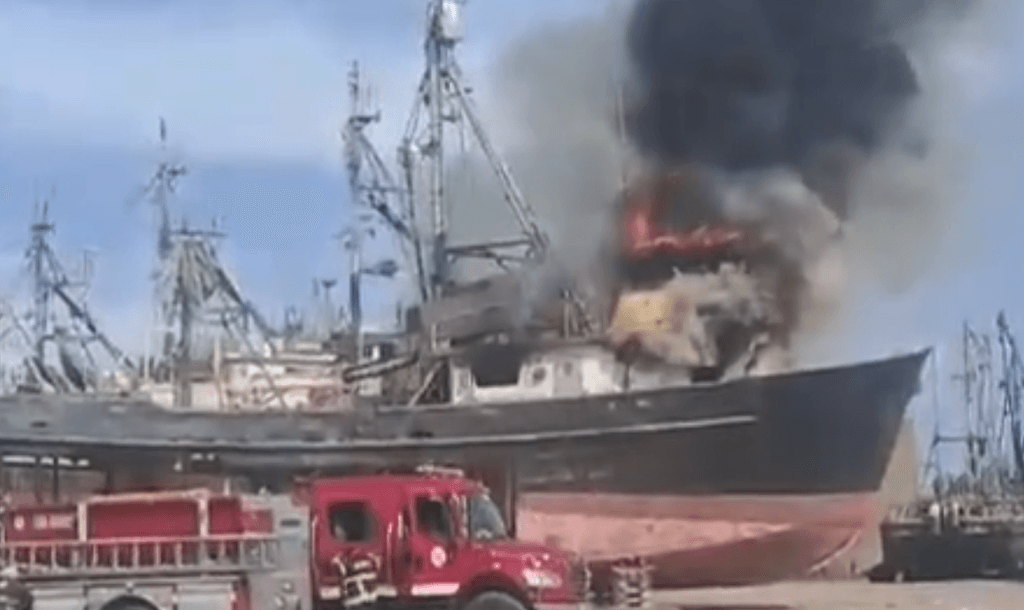 imagen_2024-02-15_115223873 imagen_2024-02-15_115223873