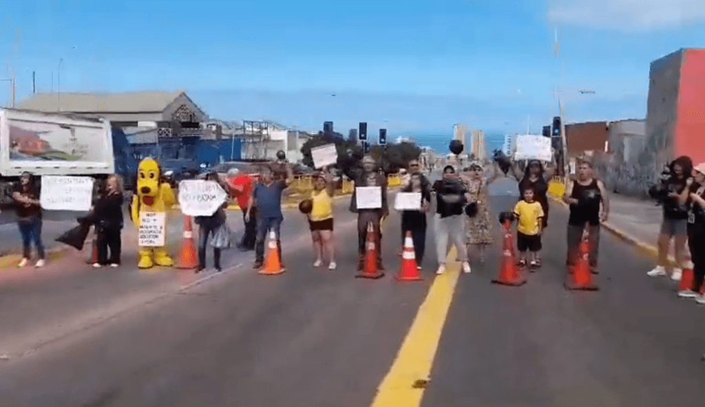 imagen_2024-03-05_120530098 imagen_2024-03-05_120530098