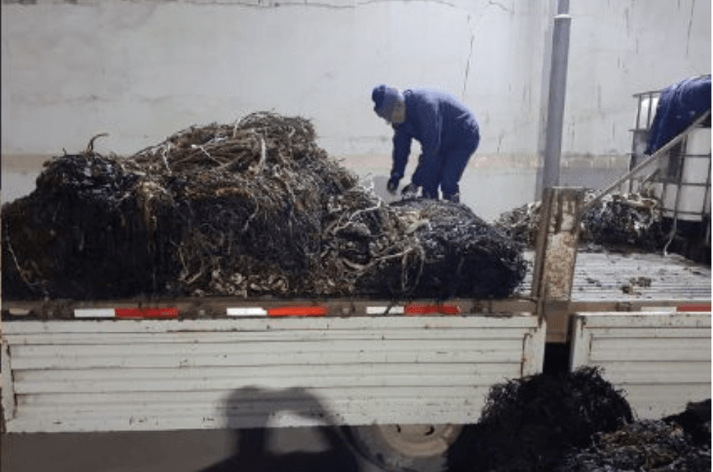 imagen_2024-05-15_105650471 imagen_2024-05-15_105650471