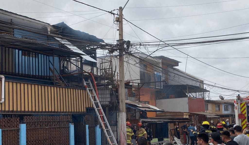 imagen_2024-12-09_102149966 imagen_2024-12-09_102149966